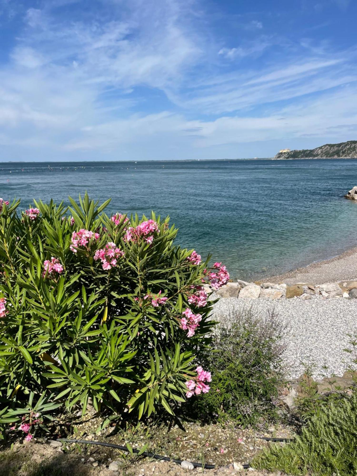 Portopiccolo Sul Mare - Sistiana Διαμέρισμα Εξωτερικό φωτογραφία